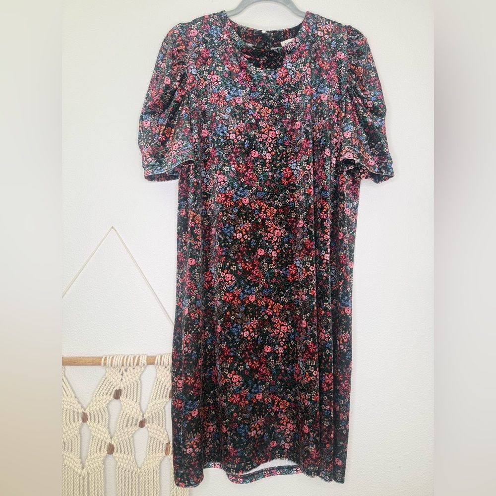 Molly Bracken dress mini floral print velvet with short balloon sleeves velour